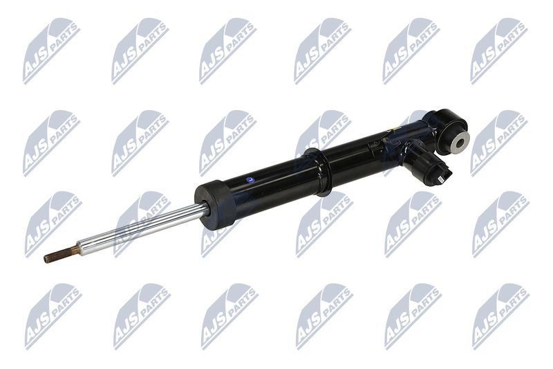 Amort, NTY A-LR-034