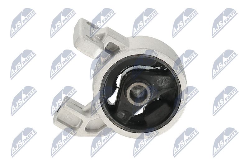 Paigutus, Mootor, NTY ZPS-KA-318