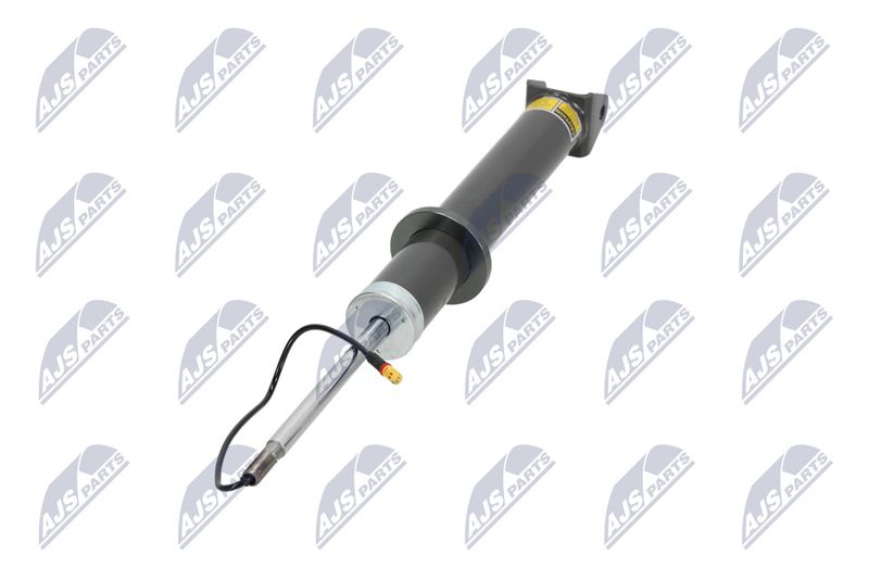 Amort, NTY A-PS-013