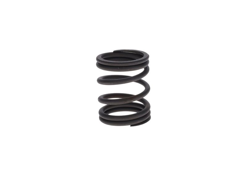 Arc 2 424 618 050 BOSCH