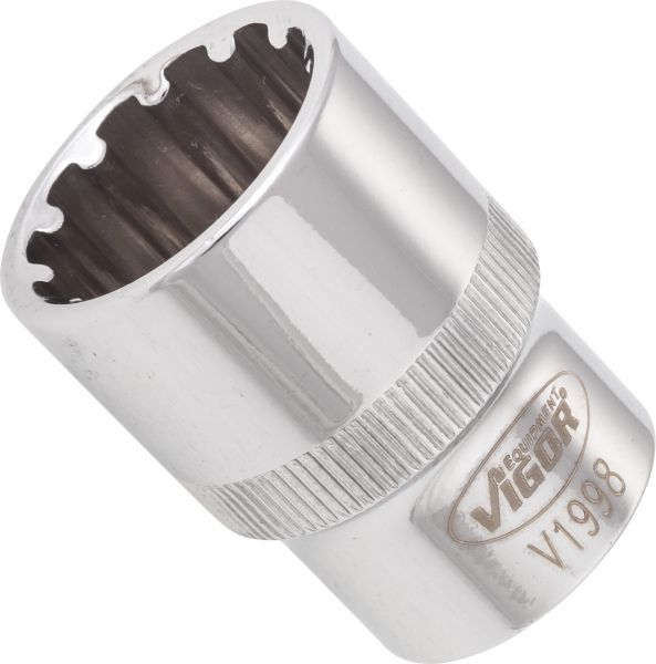 Padrun, VIGOR V1998