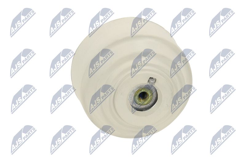 Paigutus, Mootor, NTY ZPS-ME-102