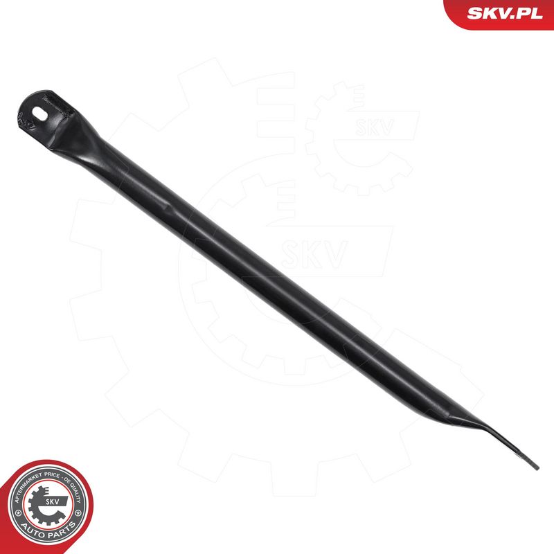 Esiosa detailiring, ESEN SKV 97SKV269
