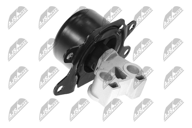 Paigutus, Mootor, NTY ZPS-PL-053