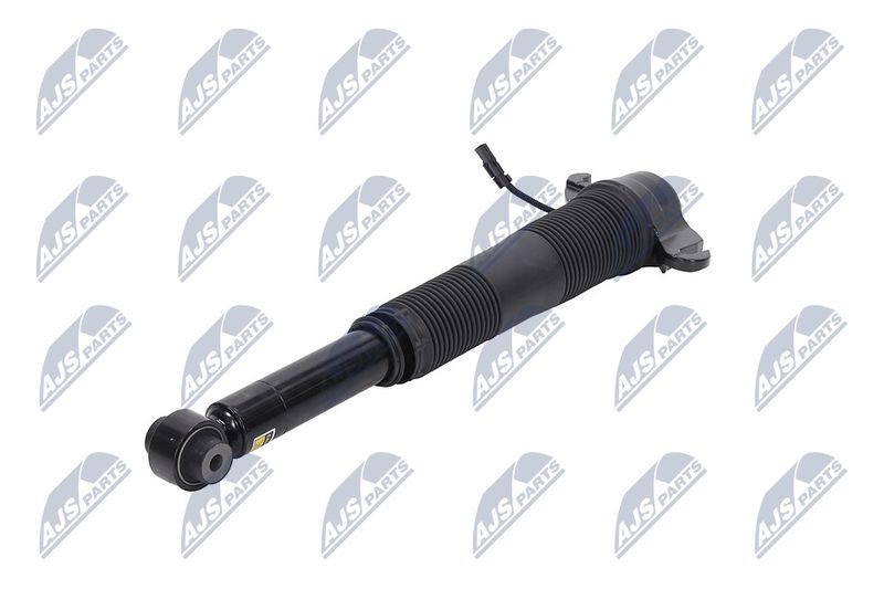 Amort, NTY A-LR-021