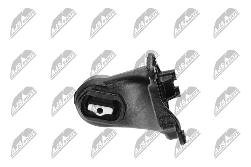 Paigutus, Mootor, NTY ZPS-CH-173