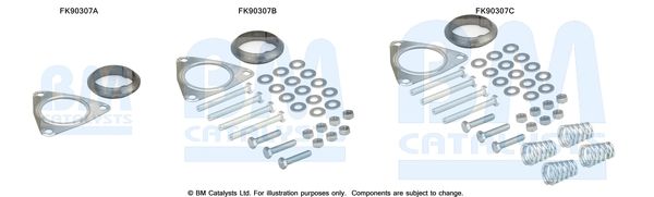 BM CATALYSTS szerelőkészlet, katalizátor FK90307