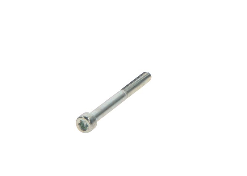 BOSCH 2469403076 Screw