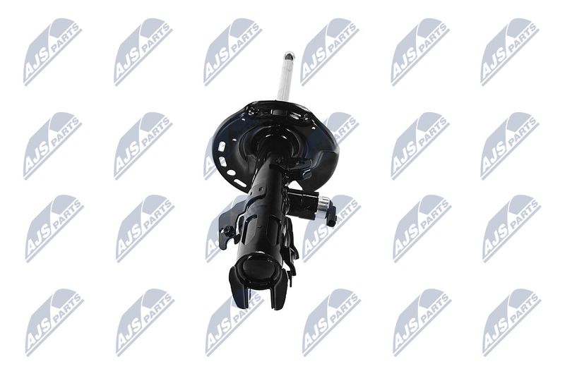 Amort, NTY A-TY-092