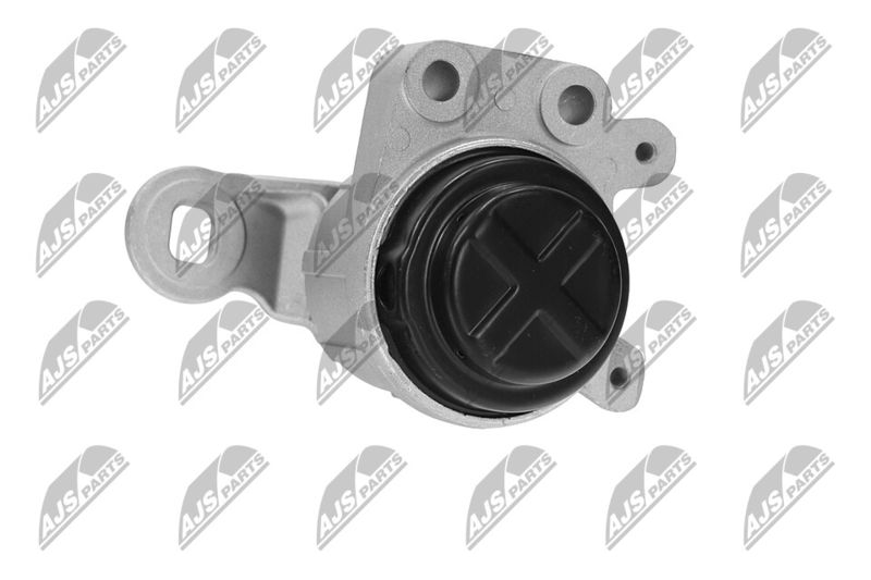 Paigutus, Mootor, NTY ZPS-FR-044