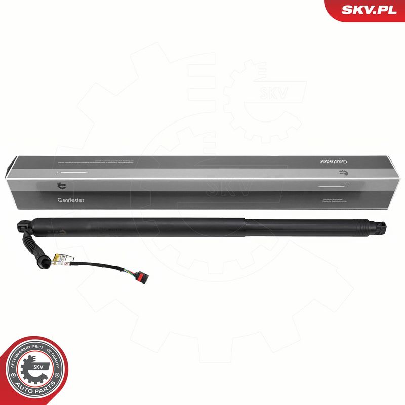 Elektrimootor, tagaluuk, ESEN SKV 52SKV203