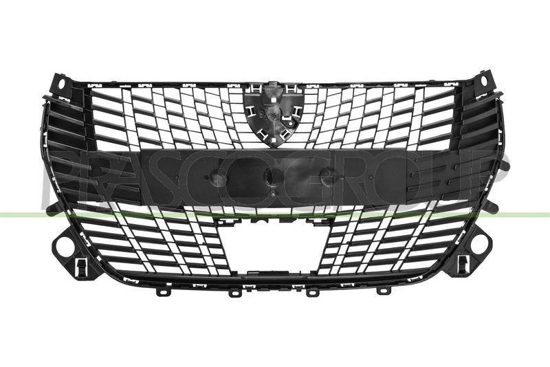 Grila radiator PRASCO PG3322011 - Imagine 1