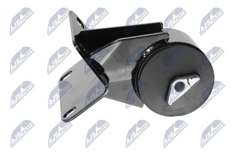 Paigutus, Mootor, NTY ZPS-CH-036