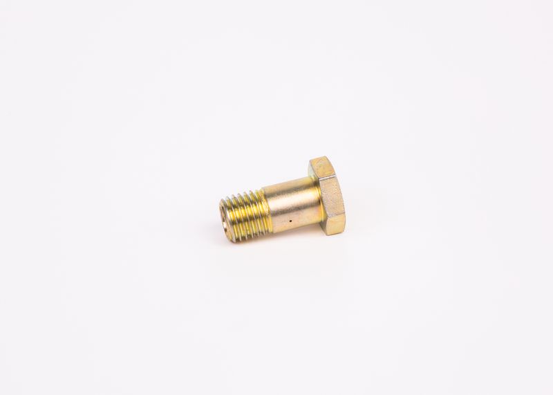 Surub F 002 D13 579 BOSCH