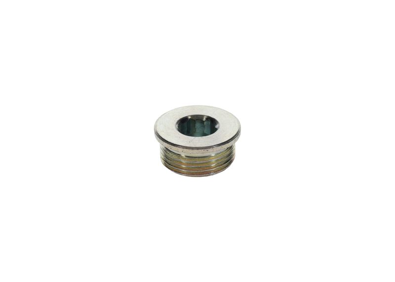 Surub 1 423 462 099 BOSCH