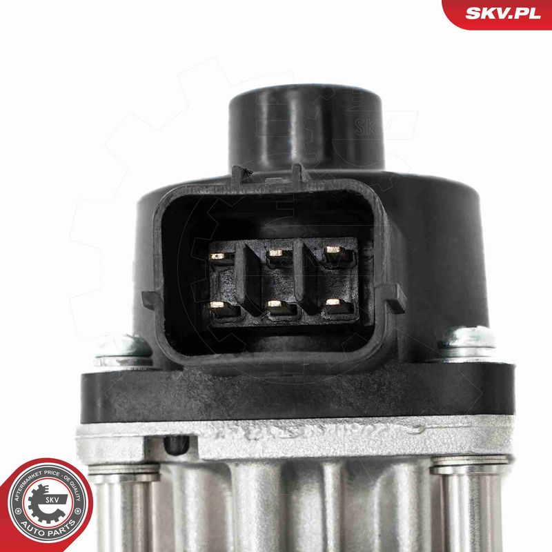ESEN SKV 14SKV260 EGR Valve