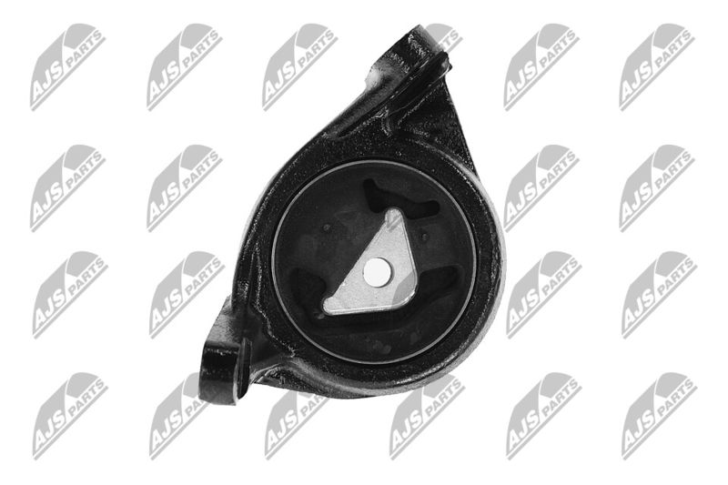 Paigutus, Mootor, NTY ZPS-CH-088