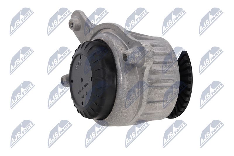 Paigutus, Mootor, NTY ZPS-ME-025