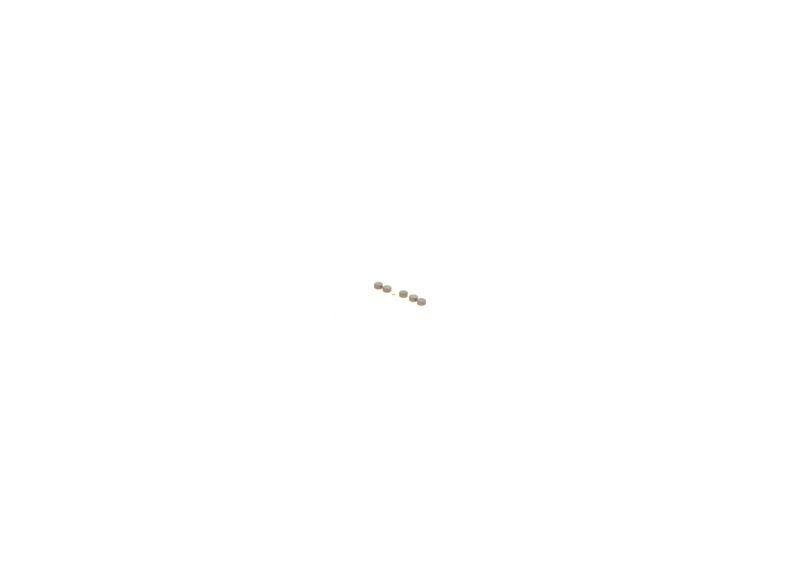 BOSCH F00ZC99735 Common Rail sistemos remonto komplektas
