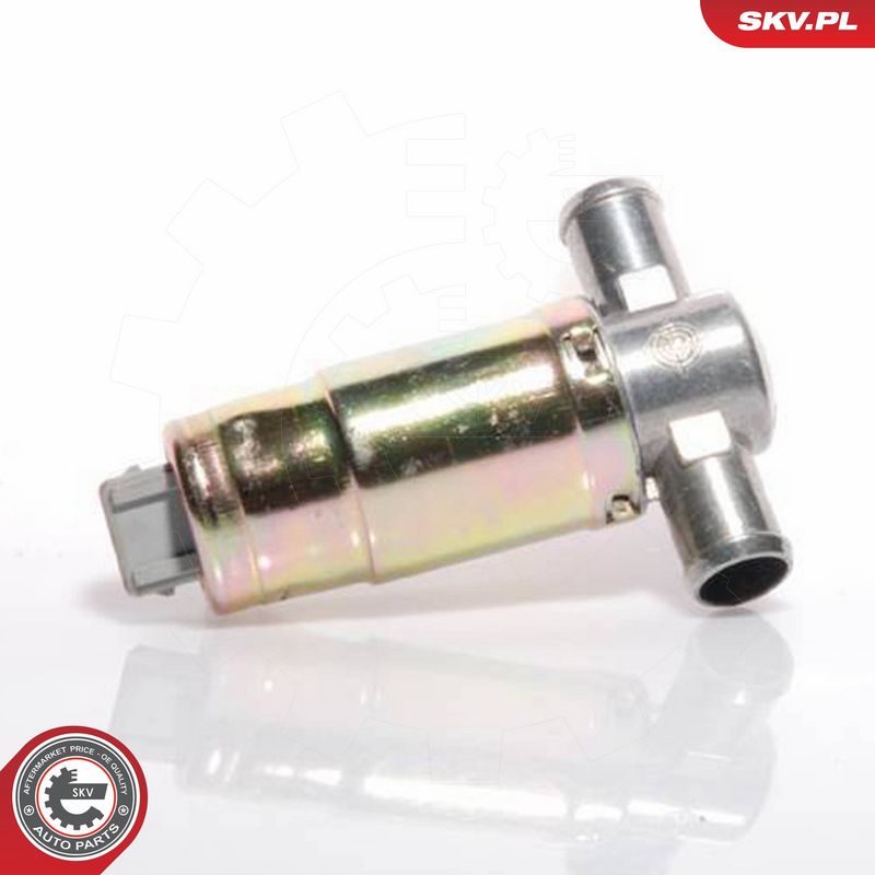 ESEN SKV 08SKV207 Idle Control Valve, air supply