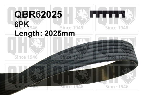 QUINTON HAZELL hosszbordás szíj QBR62025