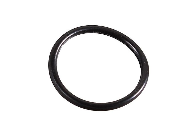 METZGER AUTOTEILE 2430095 - Seal Ring