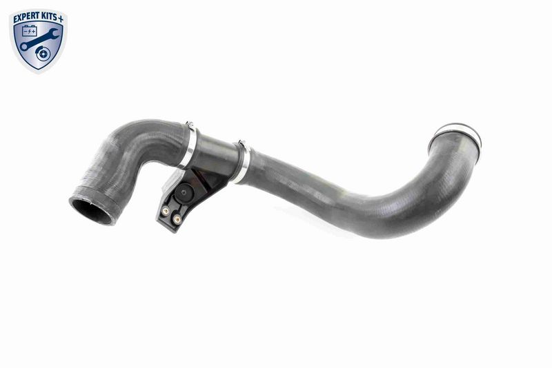 VAICO V30-2420 Charge Air Hose