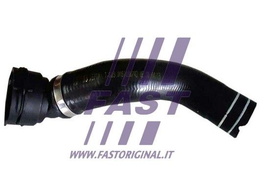 FT61358_1_1.JPG