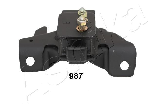 GOM-987_1.JPG