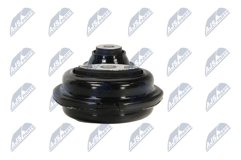 Paigutus, Mootor, NTY ZPS-PL-054