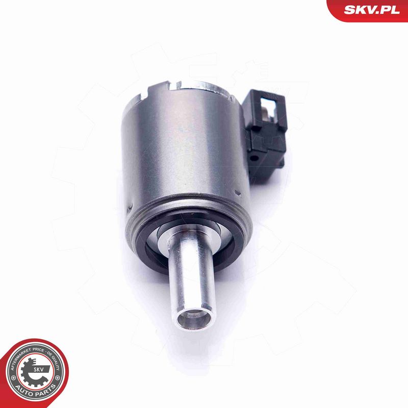 ESEN SKV 39SKV027 Control Valve, camshaft adjustment