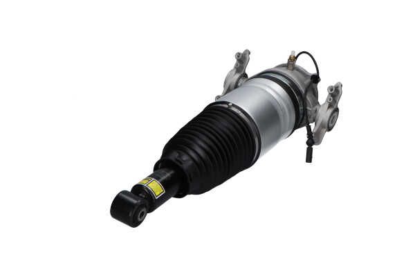 Kavo Parts SAS-10042 Air Suspension Strut