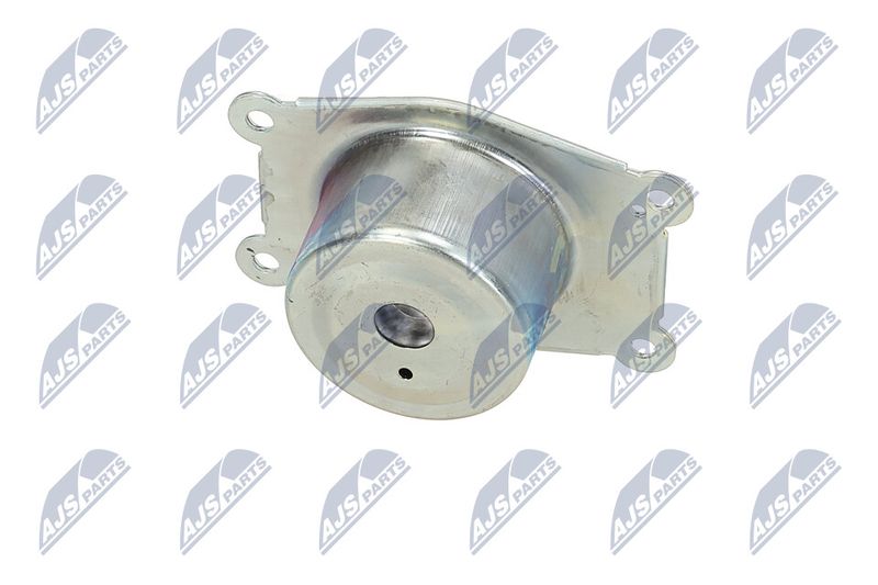 Paigutus, Mootor, NTY ZPS-PL-044