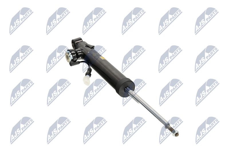 Amort, NTY A-PL-065