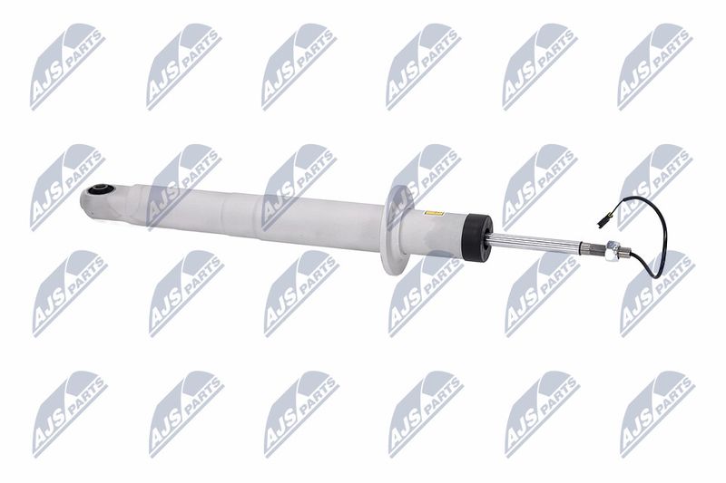 Amort, NTY A-MA-003