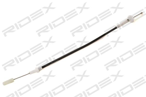 8099893_300.JPG