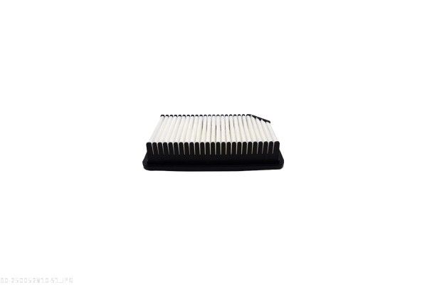 AUTOMEGA 250052810 Air Filter