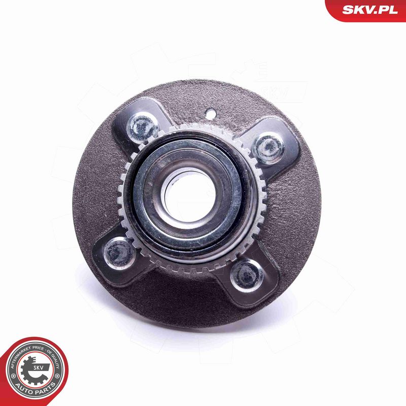 ESEN SKV 29SKV478 Wheel Bearing Kit