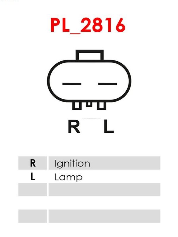 279326.JPG