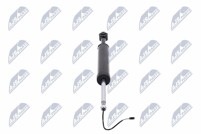 Amort, NTY A-MA-002