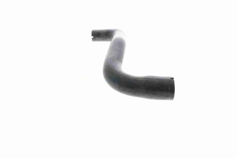 VAICO V40-1160 Radiator Hose