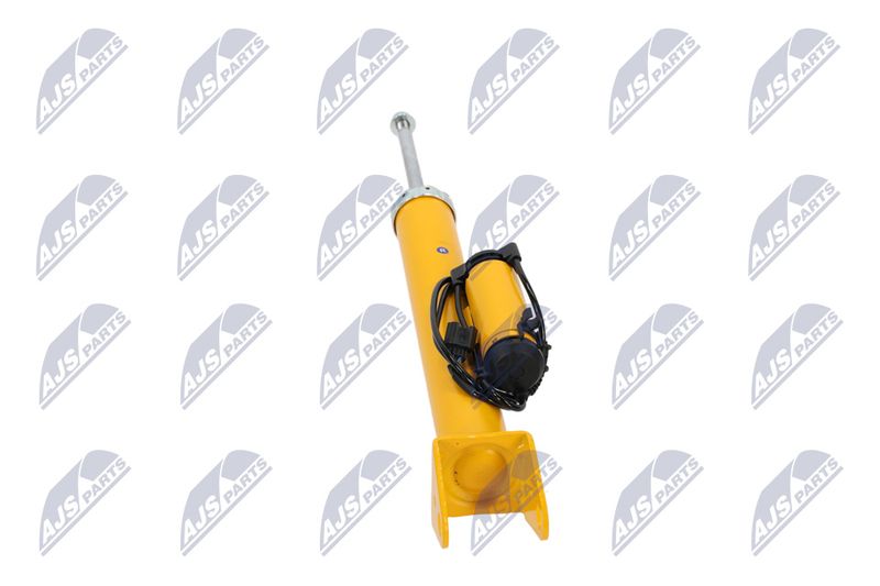 Amort, NTY A-CH-103