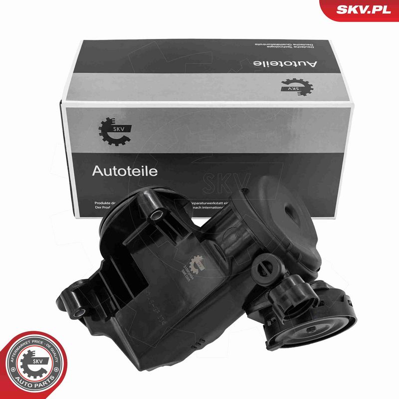 ESEN SKV 31SKV494 Oil Separator, crankcase ventilation