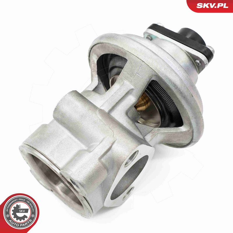 ESEN SKV 14SKV269 EGR Valve