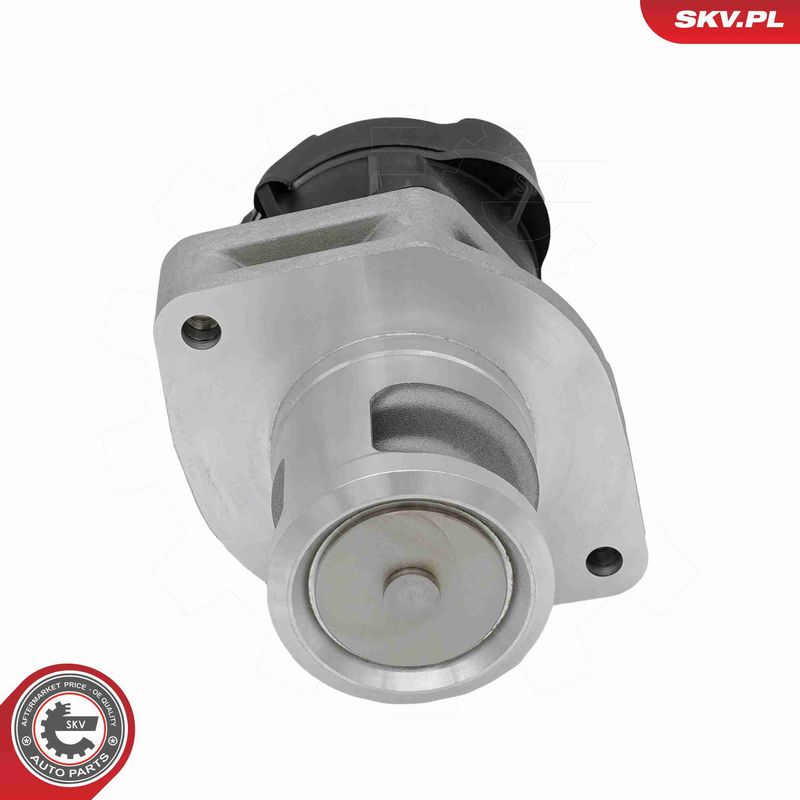 ESEN SKV 14SKV302 EGR Valve