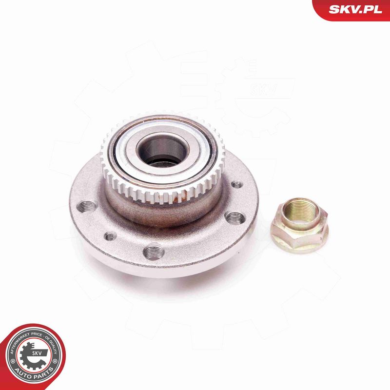 ESEN SKV 29SKV160 Wheel Bearing Kit