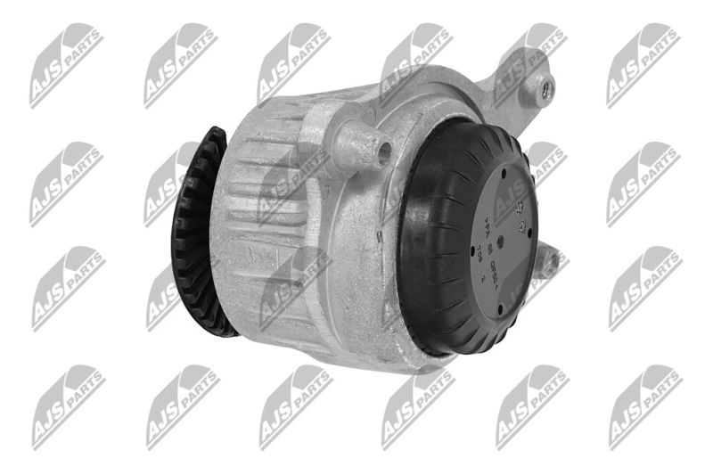 Paigutus, Mootor, NTY ZPS-ME-049