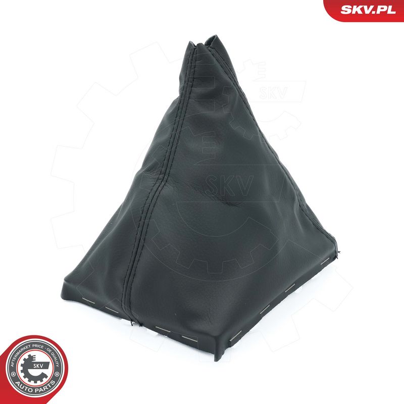 Käigukanginupp, ESEN SKV...