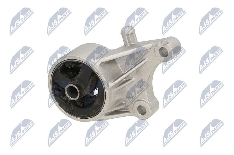 Paigutus, Mootor, NTY ZPS-PL-093