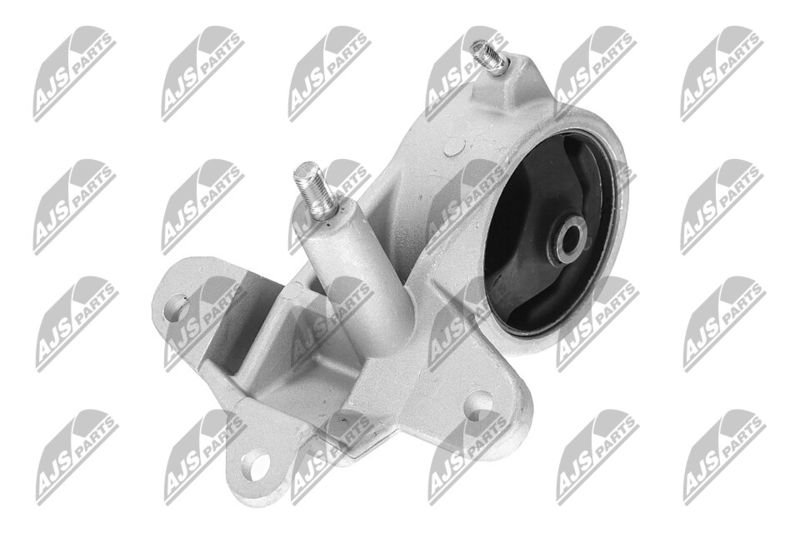 Paigutus, Mootor, NTY ZPS-DA-004